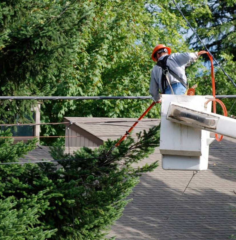 Worker in bucket lift trimming trees near power lines