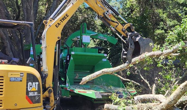 Operator feeding tree branches into green Bandit wood chipper with excavator