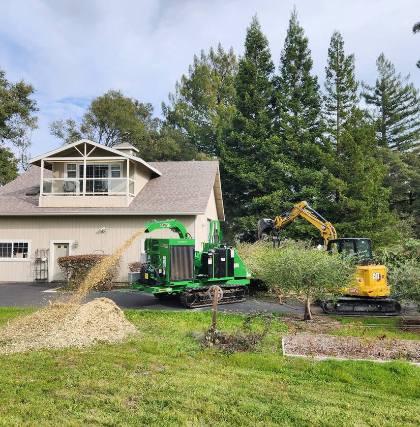 Yellow excavator and green wood chipper processing tree stump and debris