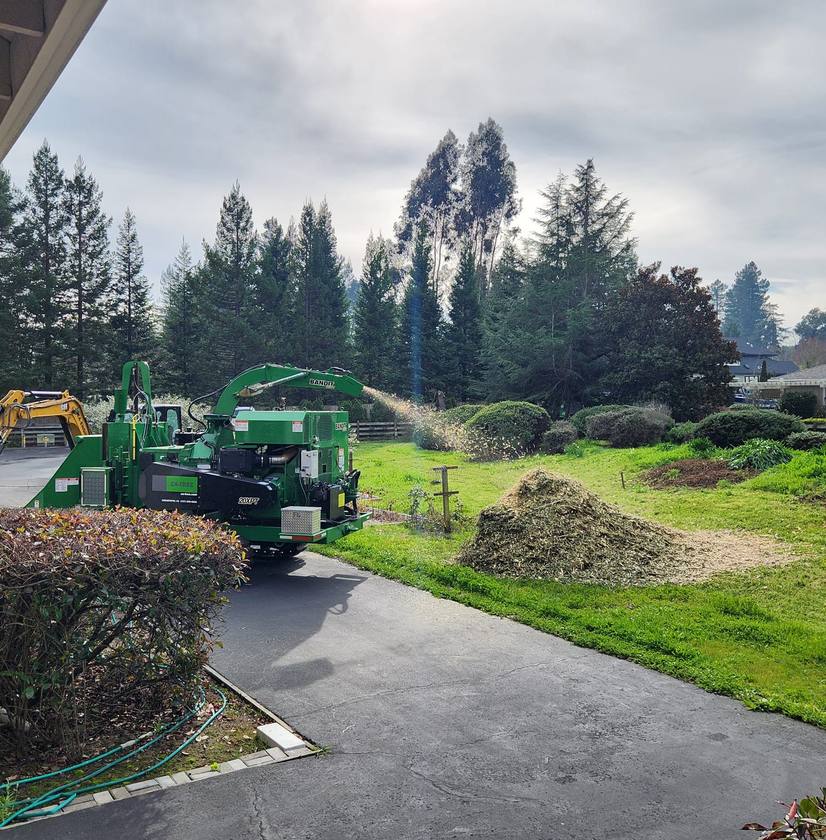 Yellow excavator and green wood chipper processing tree stump and debris