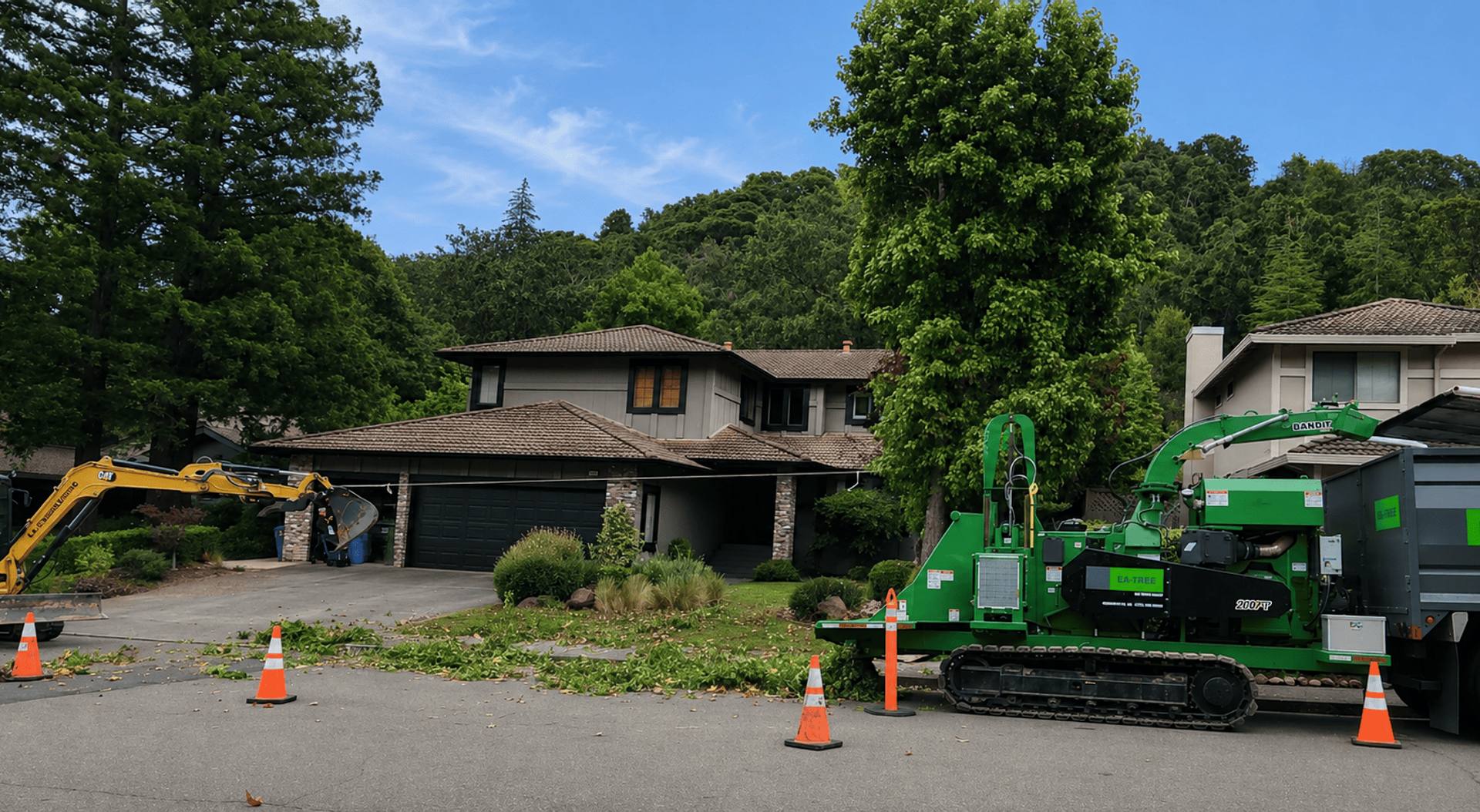 Arborist trimming large tree branches with chainsaw on sunny day