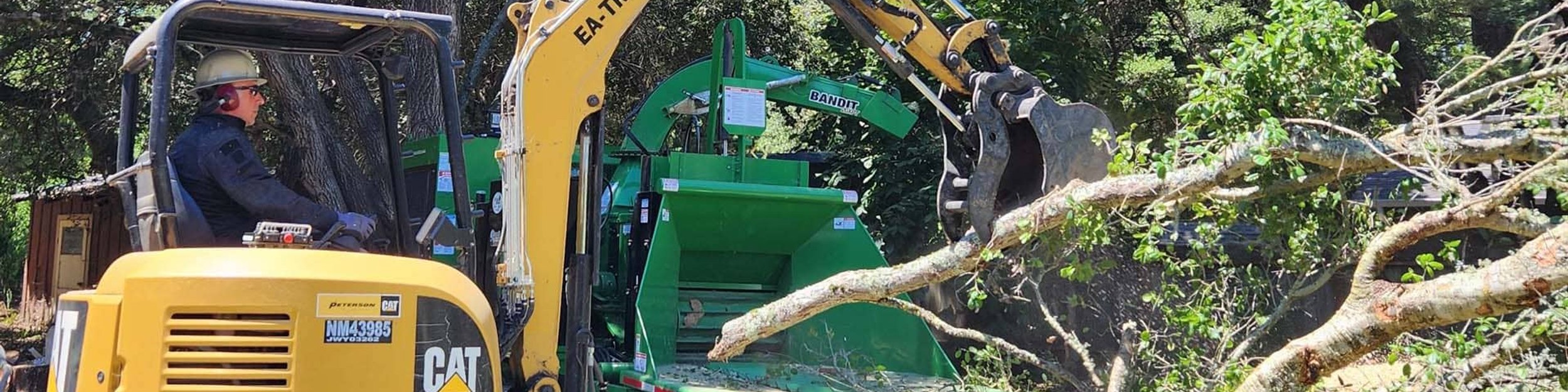 Operator feeding tree branches into green Bandit wood chipper with excavator