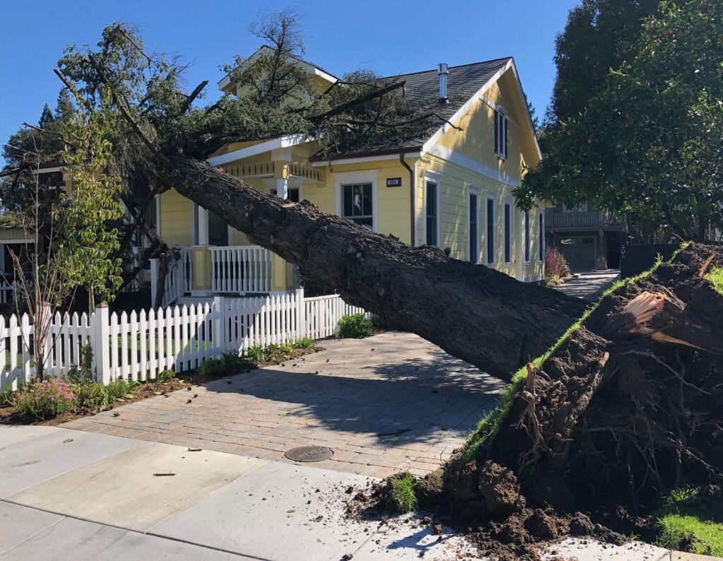 fallen tree on roof of yellow home